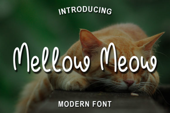 Mellow Meow: A Refined Script Font for Editorial Design