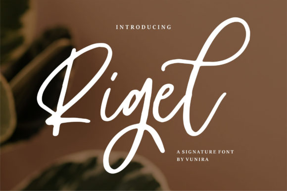 Rigel: A Premium Script Font for Modern Branding