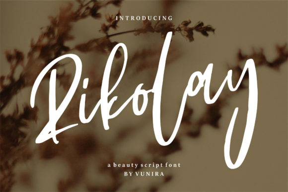 Rikolay: A Designer's Honest Review for Real Projects