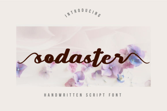 Sodaster: An Elegant Script Font for Your Brand