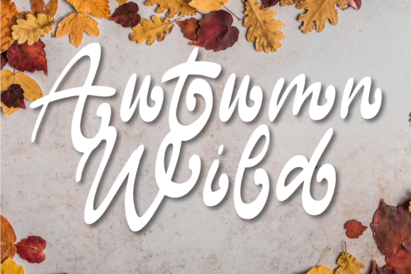 Wild Autumn: A Designer's Real-World Review